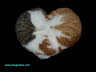 Katzen Schlafen Herzform Hintergrund Schwarz gemacht Dragomae