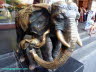 Elefanten Shanghai Foto Dragomae